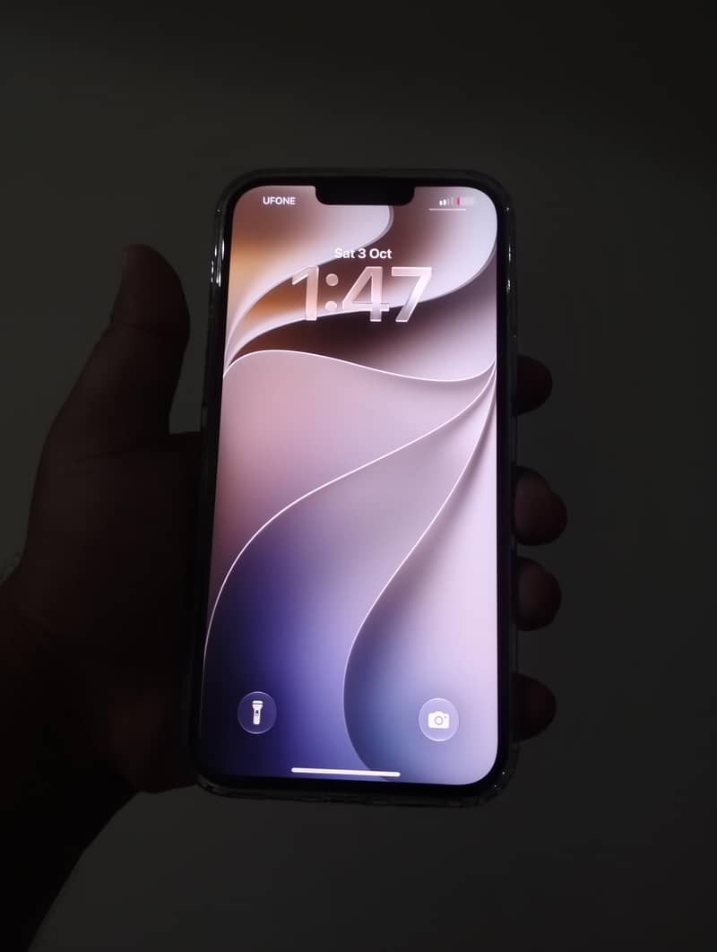 iPhone 13 Pro Max 1