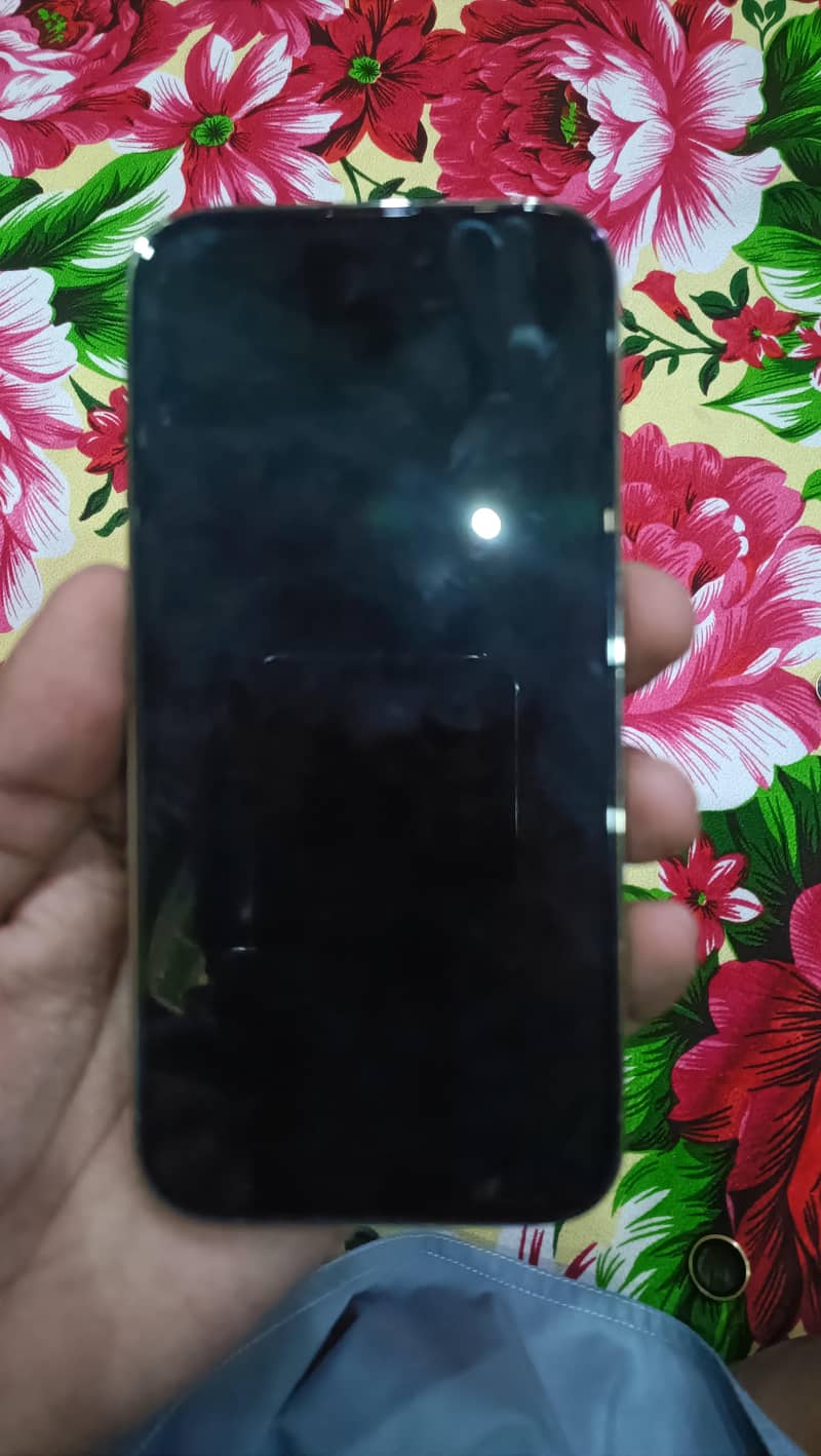Apple iPhone 14 Pro 2
