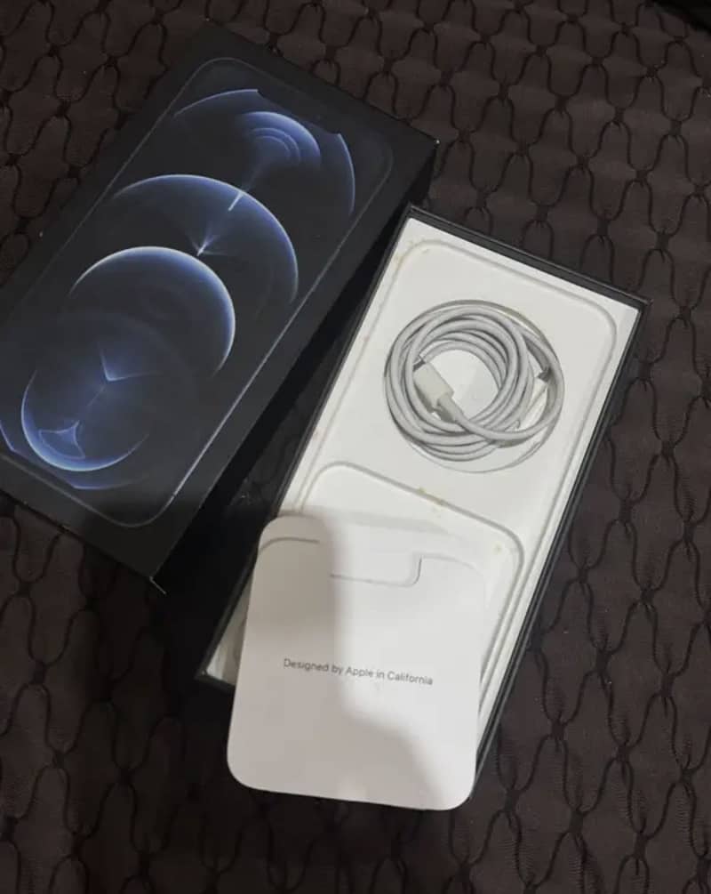 Apple iPhone 12 Pro Max 1