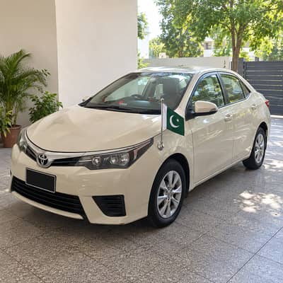 VIP Car Flag Pole – CAR FLAG  | 03008003560
