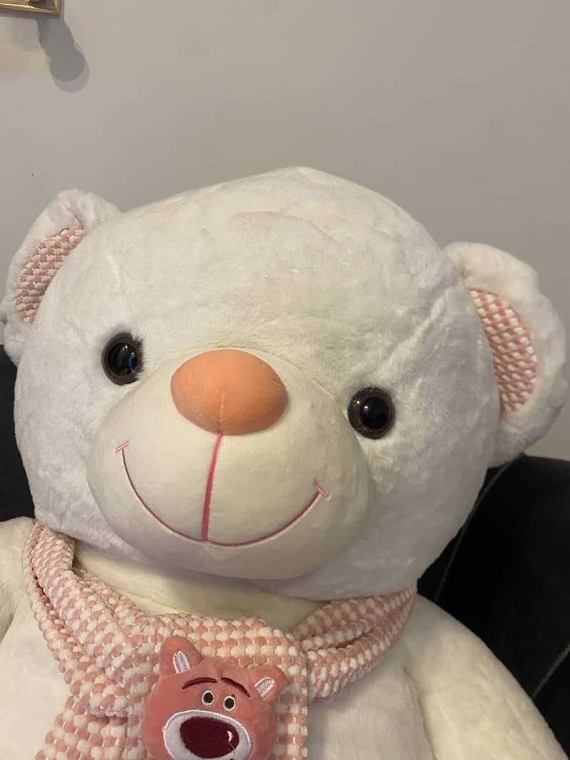 Cute White Bear 2