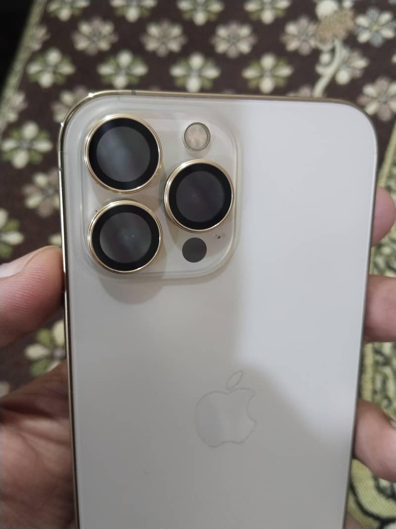 Apple iPhone 13 Pro Max 0
