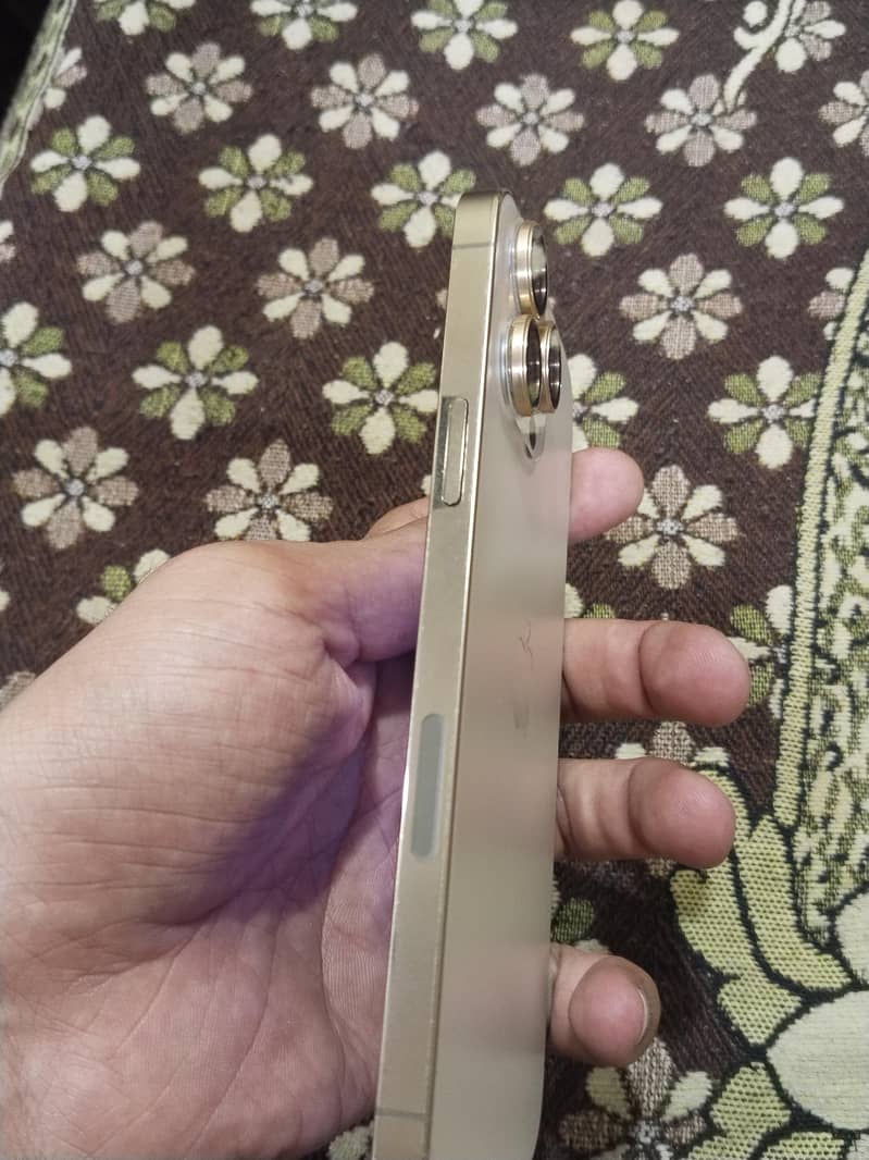 Apple iPhone 13 Pro Max 1