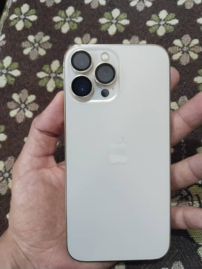 Apple iPhone 13 Pro Max