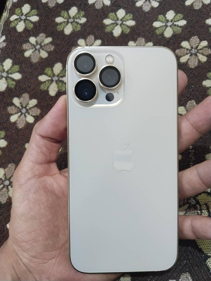 Apple iPhone 13 Pro Max 1