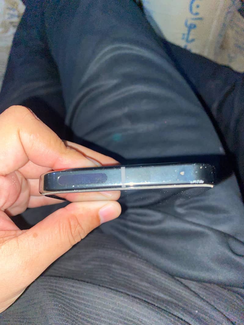 Google Pixel 9 Pro XL 1