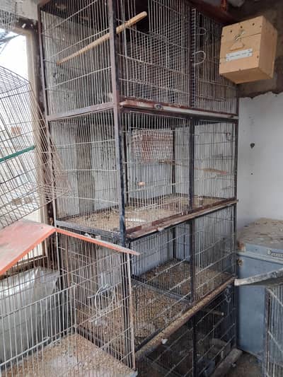 cages for sale