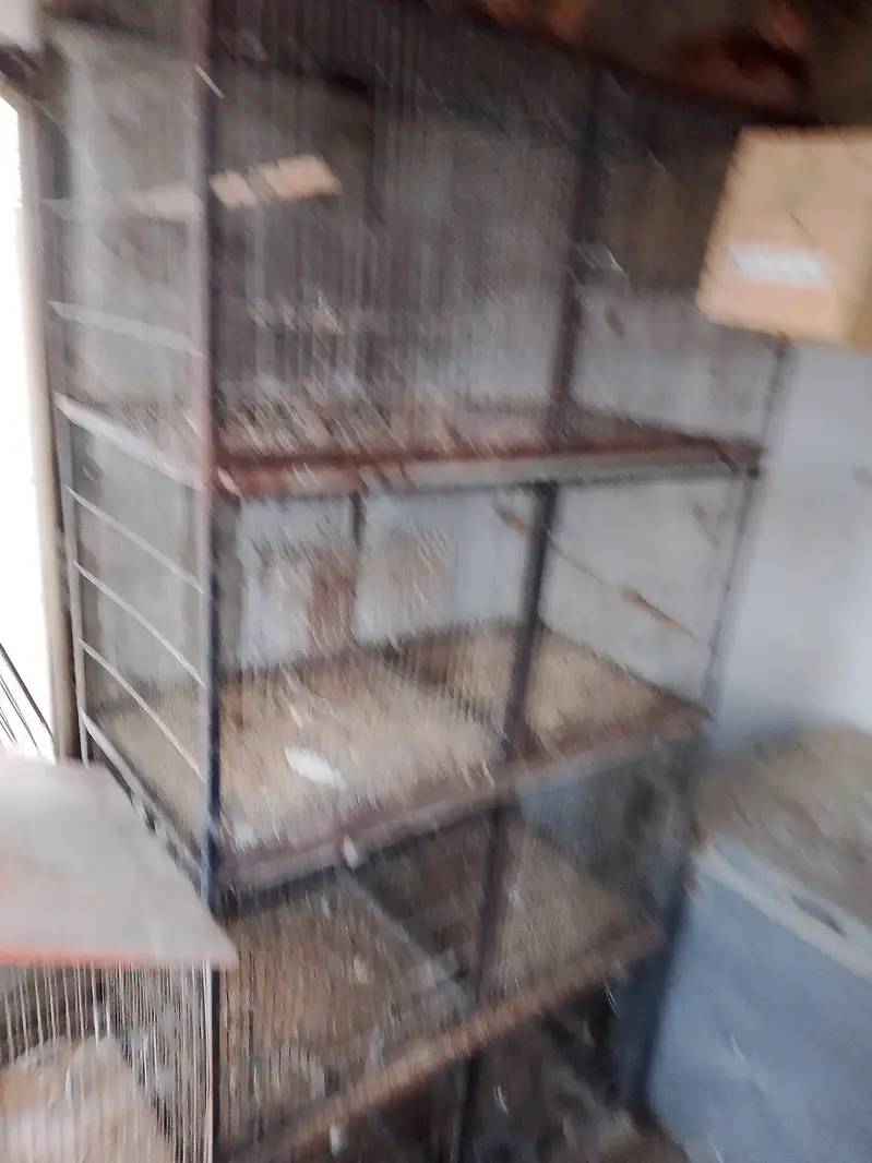 cages for sale — photo 2