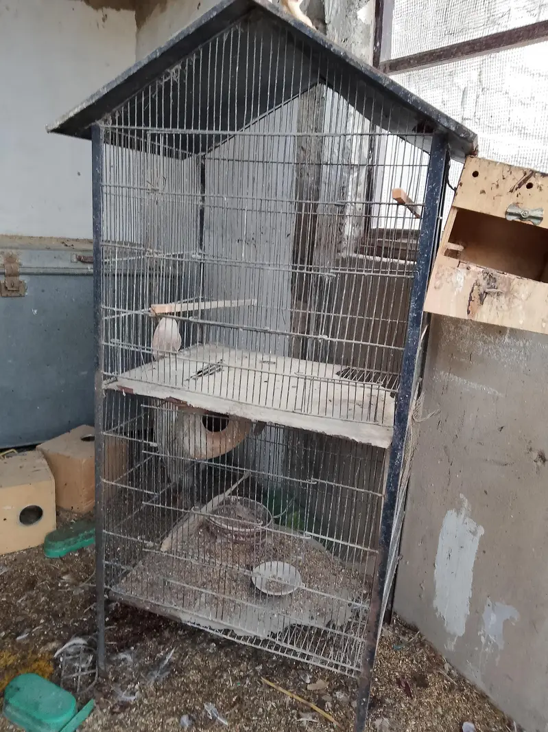 cages for sale — photo 3