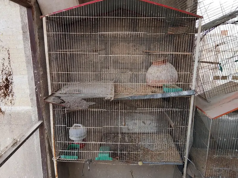 cages for sale — photo 4
