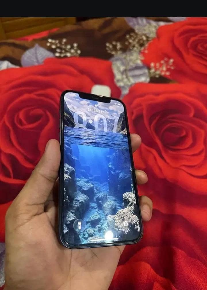 Apple iPhone 12 0