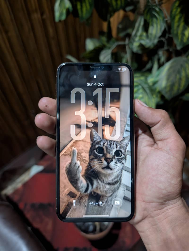 Apple iPhone 11 Pro Max 1