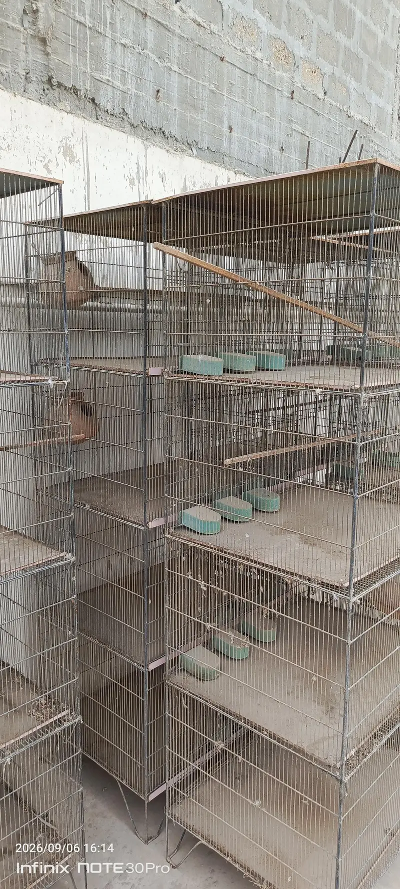 4 protion  cage