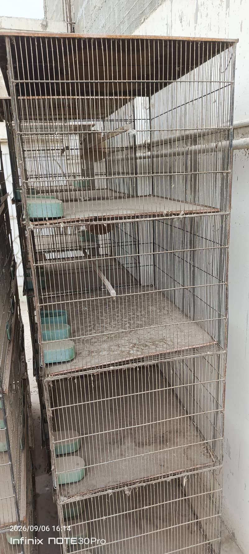 4 protion  cage 2