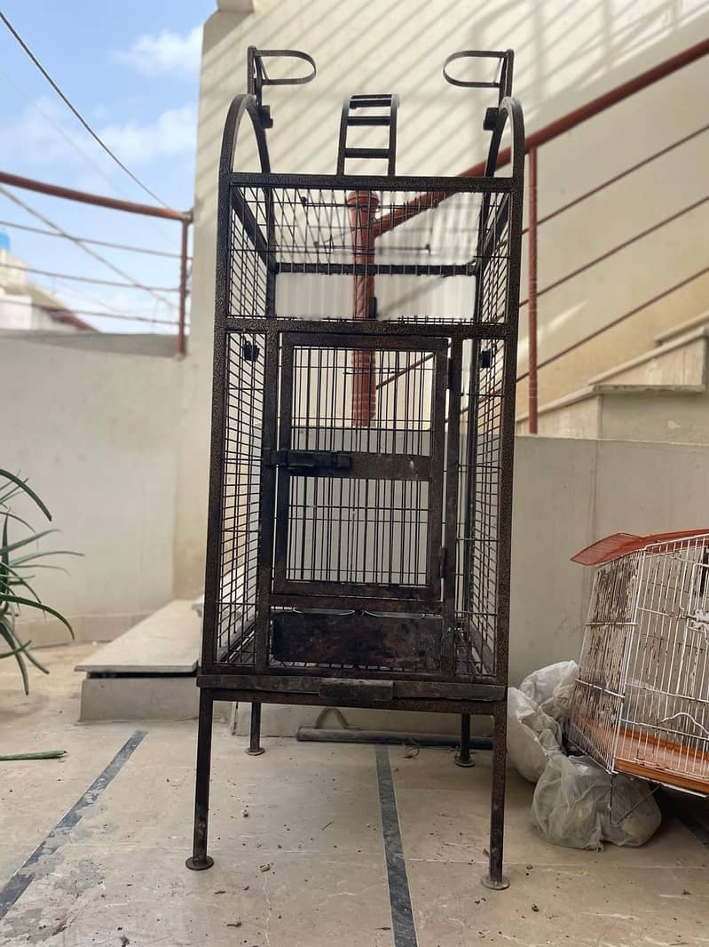 cages and boxes available 1