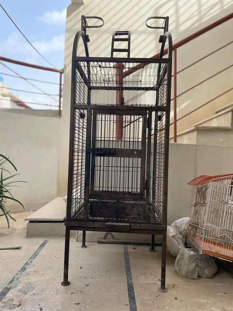 cages and boxes available — photo 3