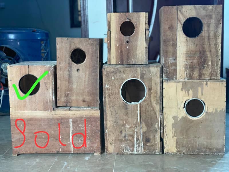 cages and boxes available 2