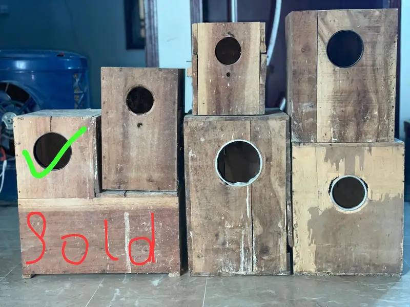 cages and boxes available — photo 4