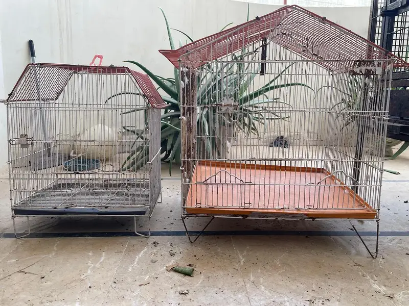 cages and boxes available — photo 5