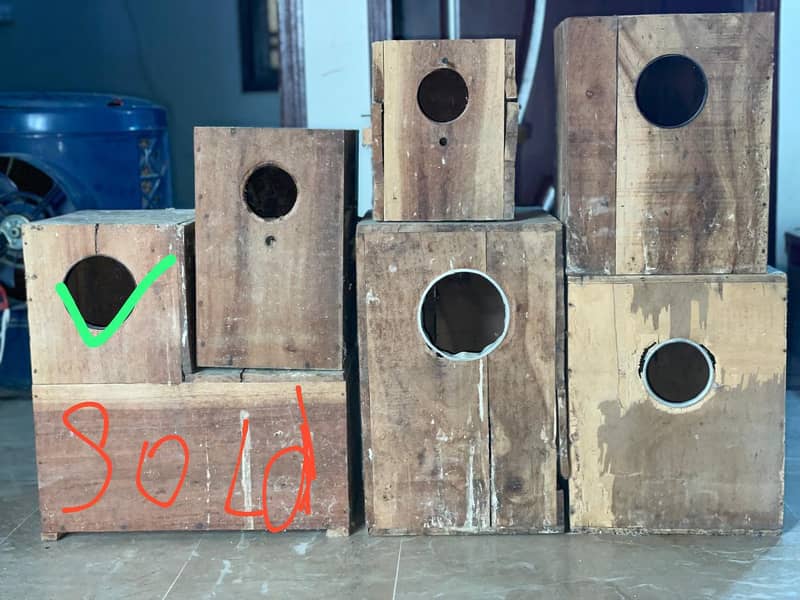 cages and boxes available 4