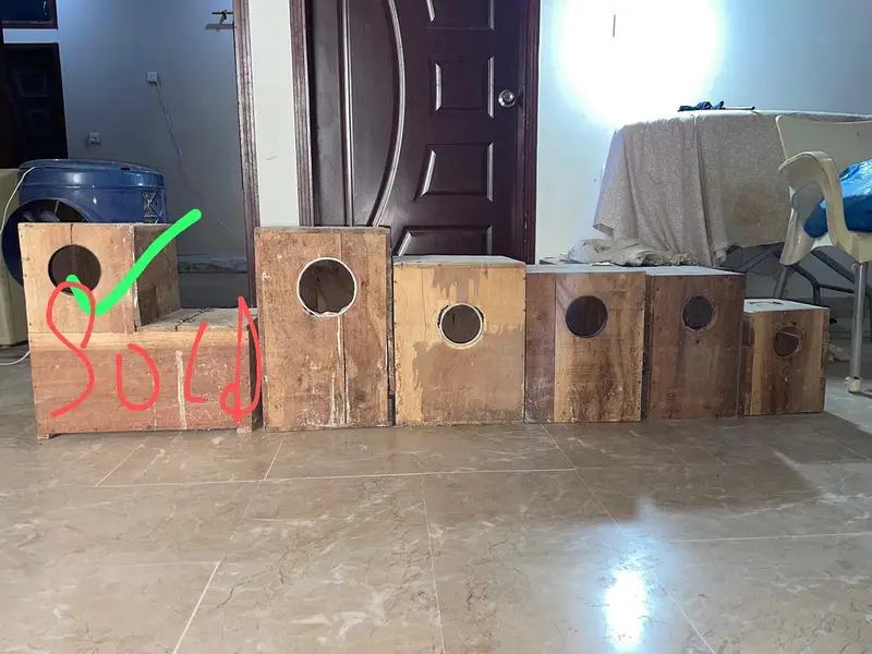 cages and boxes available — photo 8