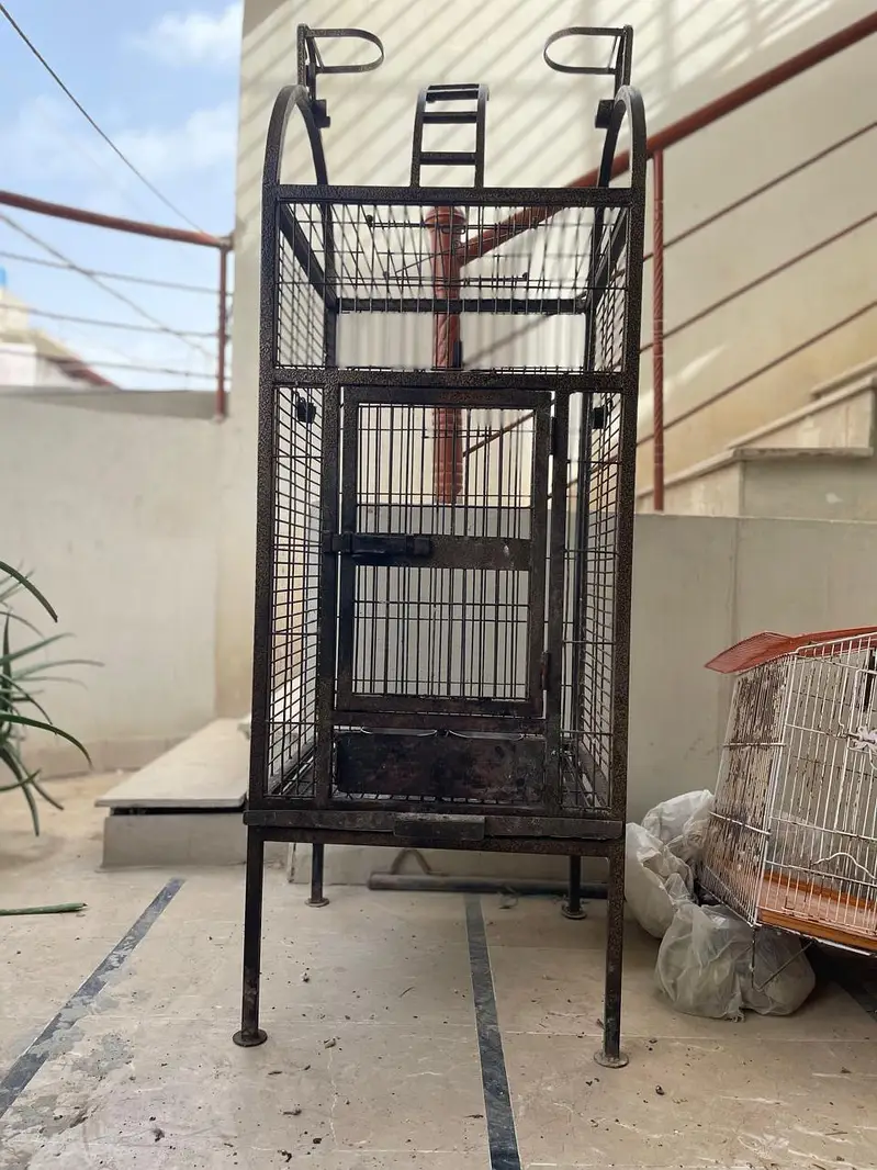 cages and boxes available — photo 9