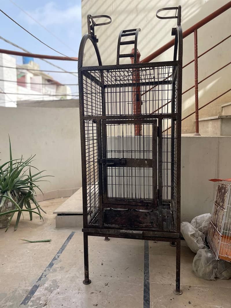 cages and boxes available 9