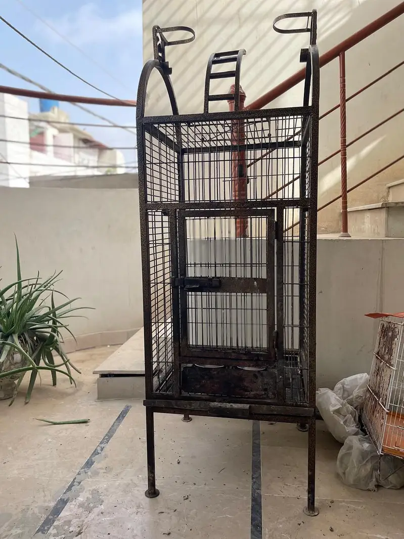 cages and boxes available — photo 11