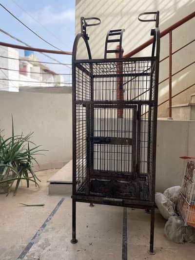 cages and boxes available