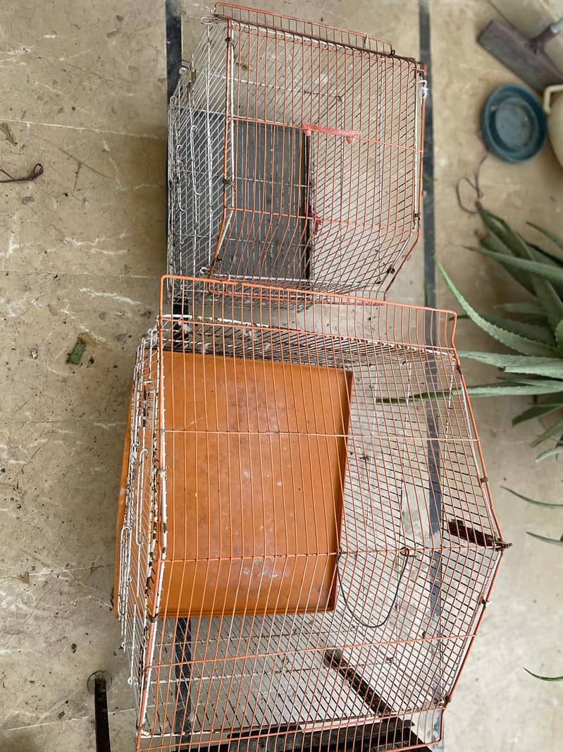 cages and boxes available 8