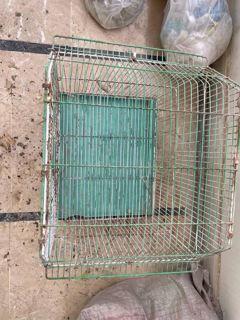 cages and boxes available 10
