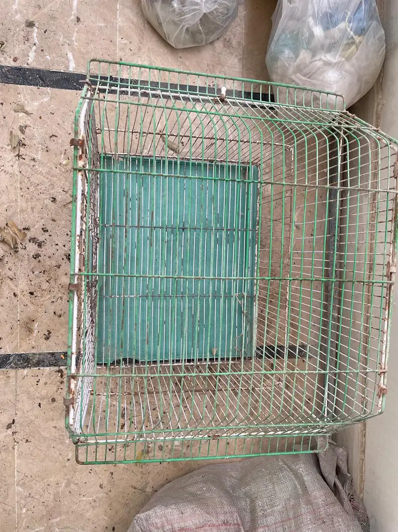cages and boxes available — photo 12