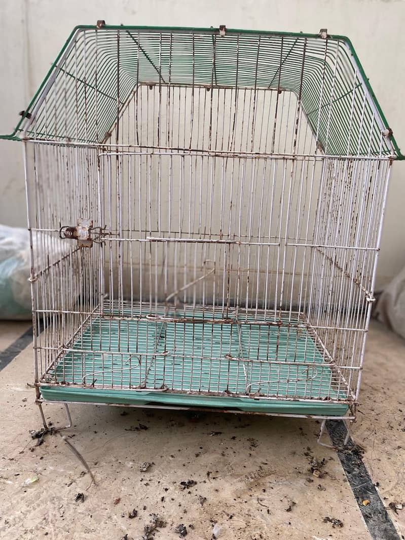cages and boxes available 5