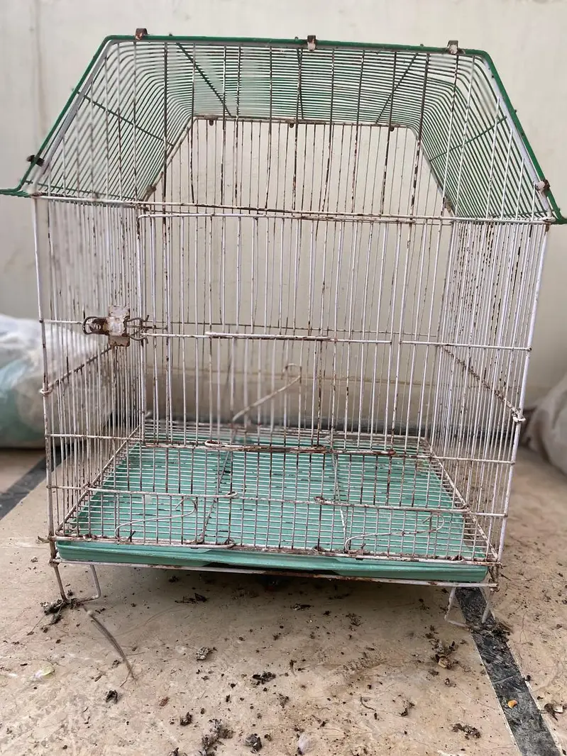 cages and boxes available — photo 7