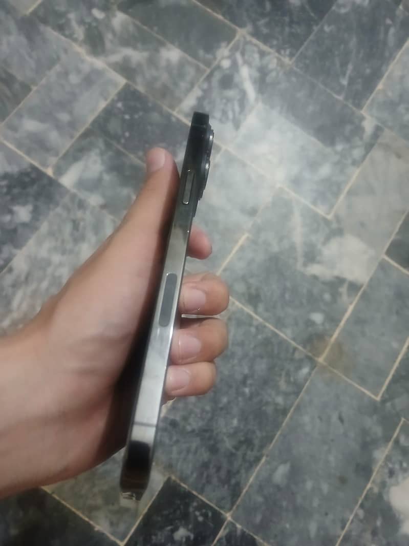 Apple iPhone 13 Pro Max 1