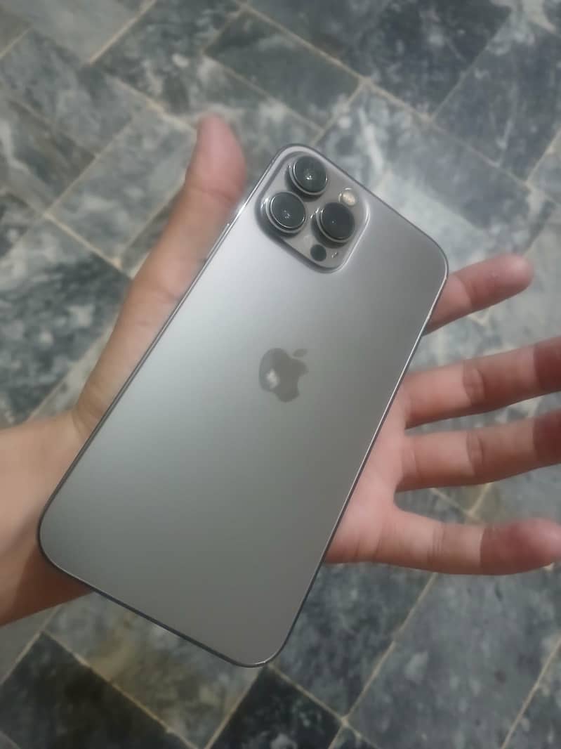 Apple iPhone 13 Pro Max 2