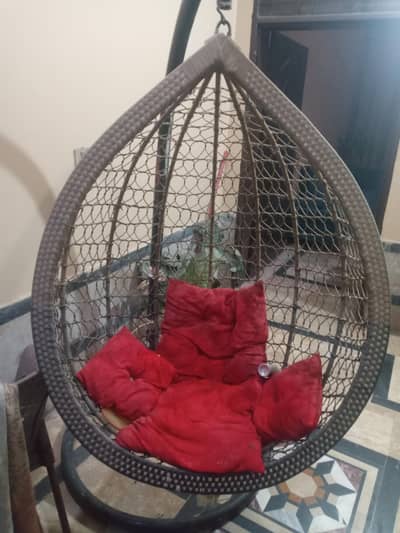 only 1 year used jhoola for sale