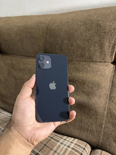 iPhone 12 Pta Approved