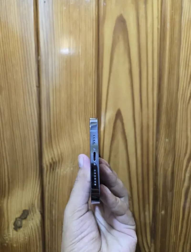 Apple iPhone 13 Pro Max 0