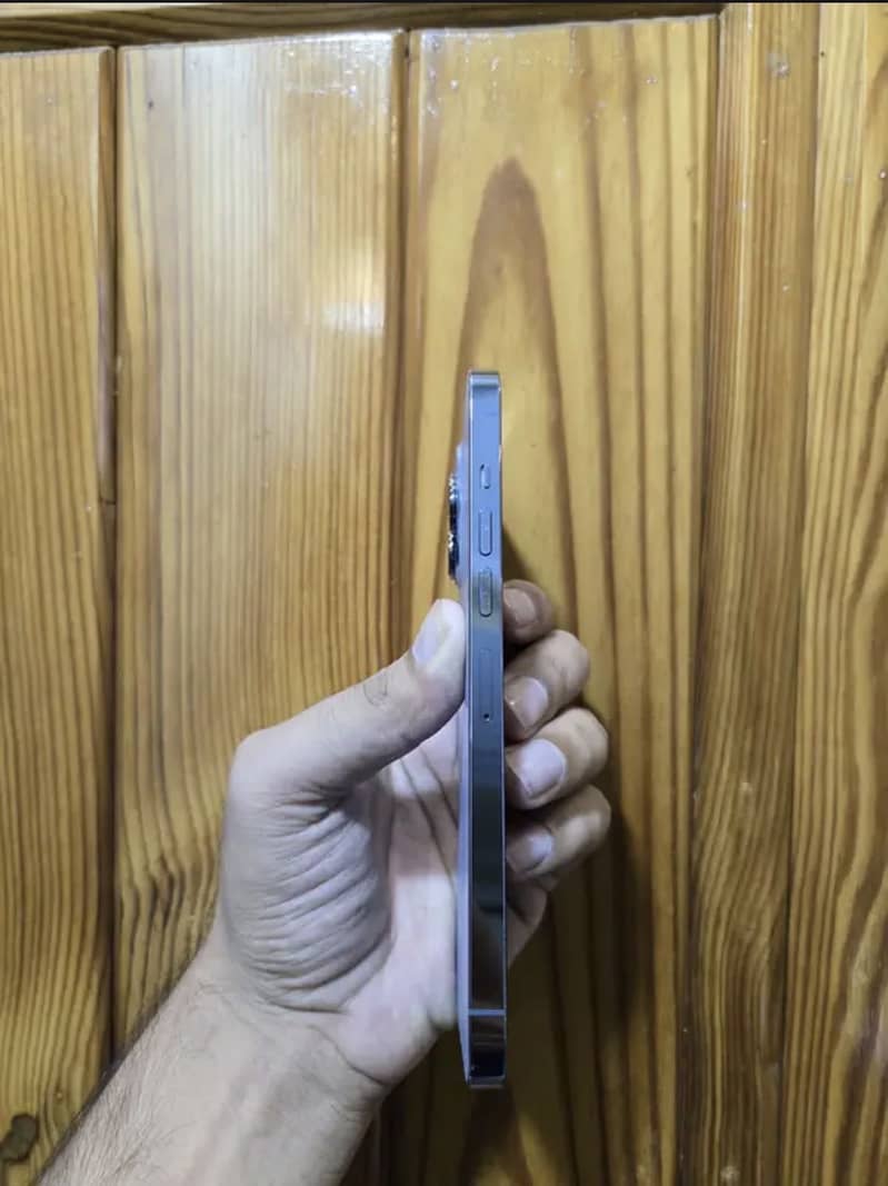 Apple iPhone 13 Pro Max 2