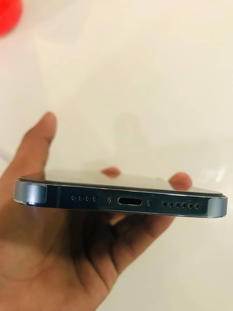 Apple iPhone 13 Pro Max 1