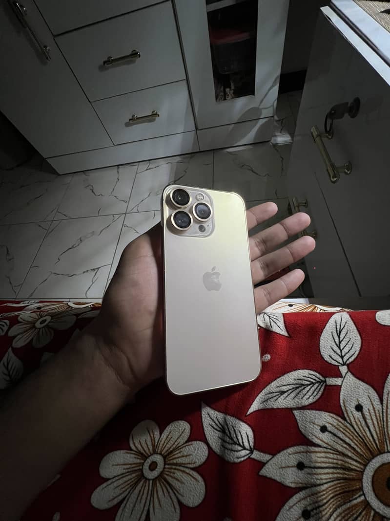 iPhone 13 Pro 0