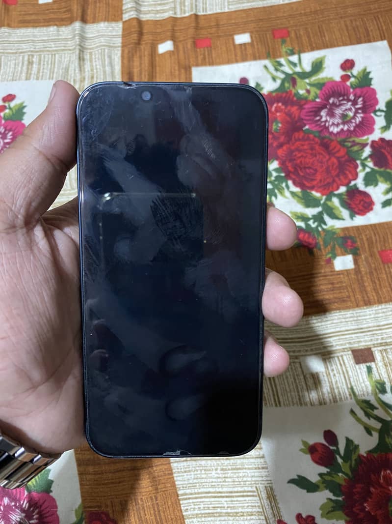 Apple iPhone 13 0