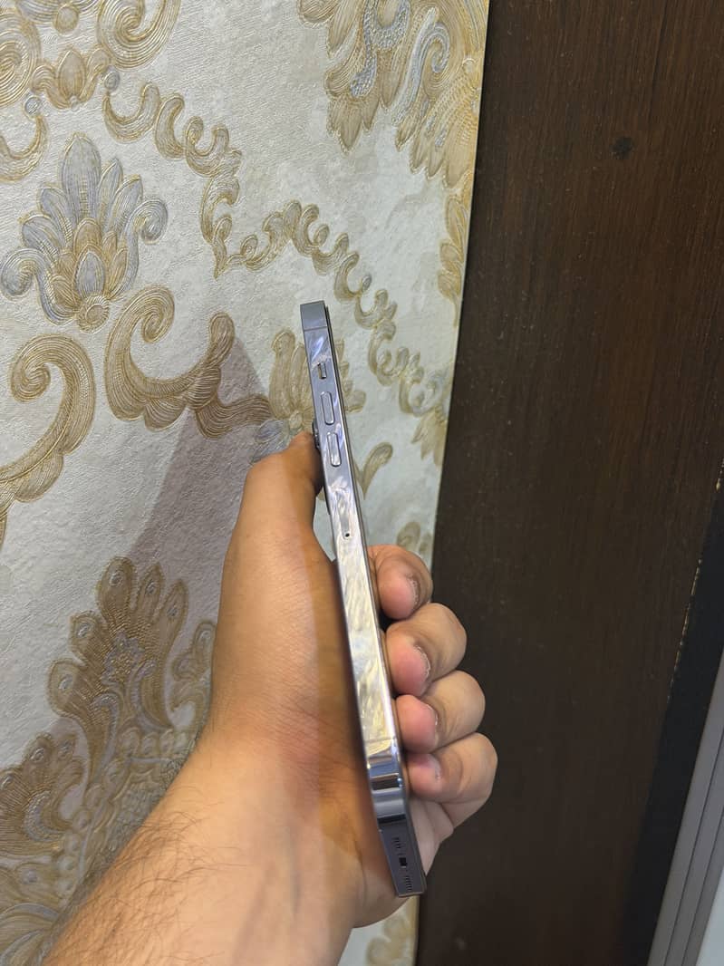 Apple iPhone 13 Pro Max 2