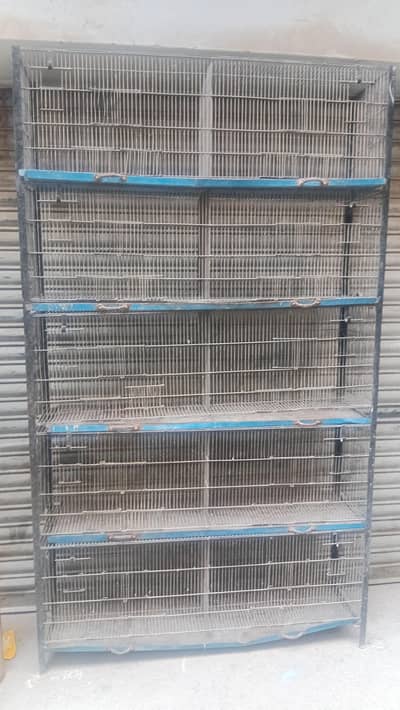 10 portion  cage size 1x2 each portion