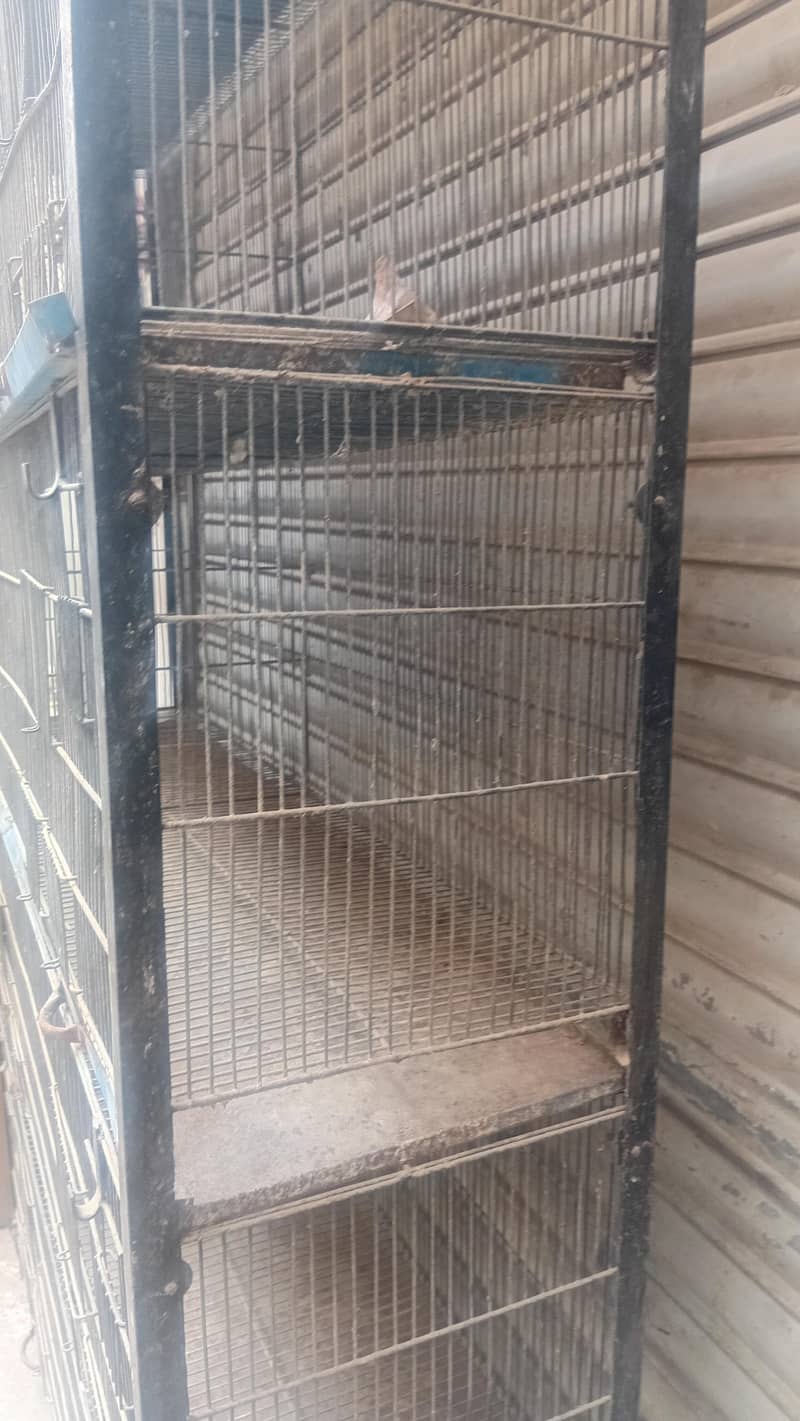 10 portion  cage size 1x2 each portion 1