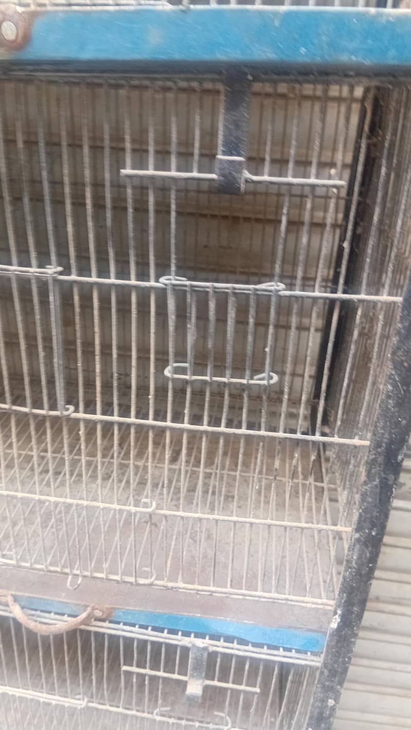 10 portion  cage size 1x2 each portion 2