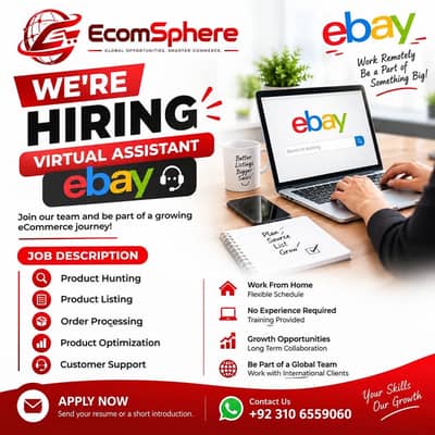 Need ebay  virtual assistant