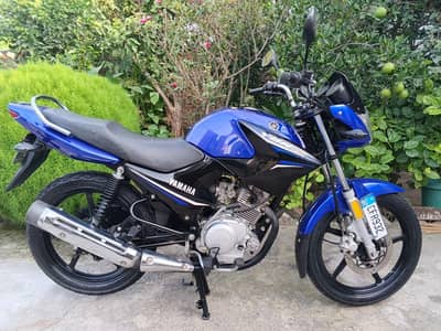 2023 model islambad number
