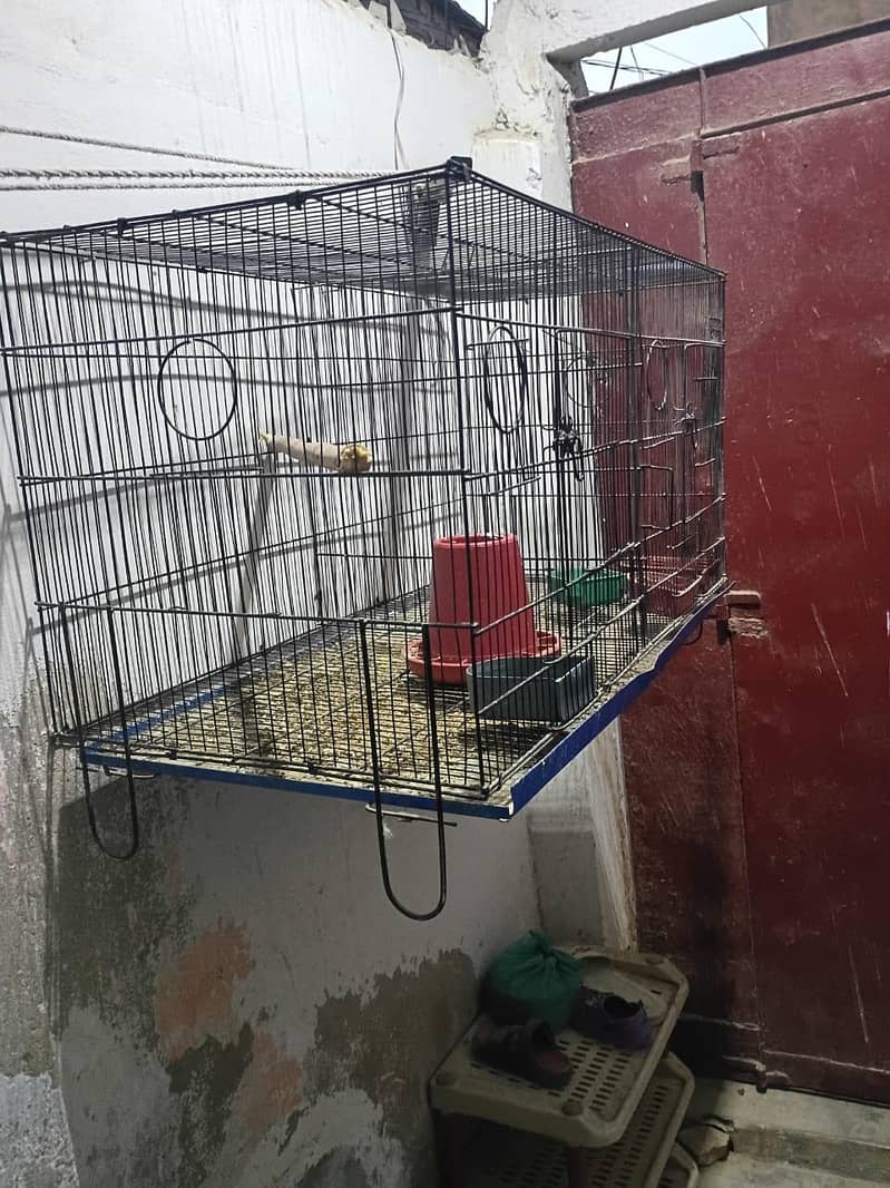 folding cage 1